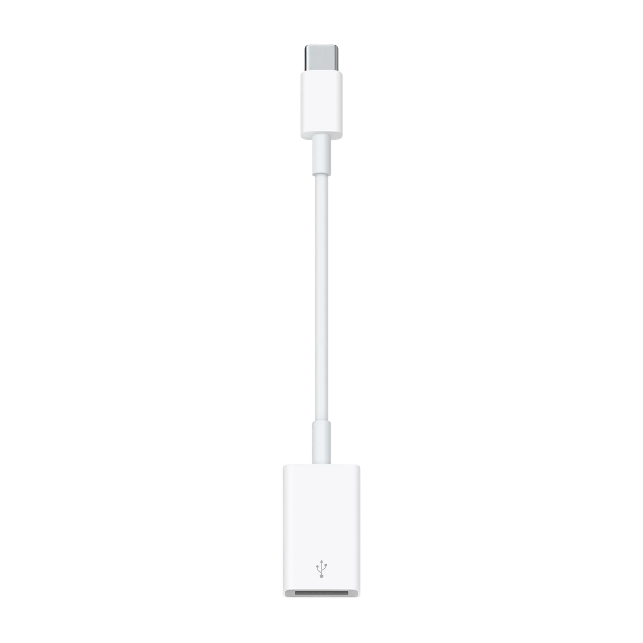 USB-C to USB Adapter